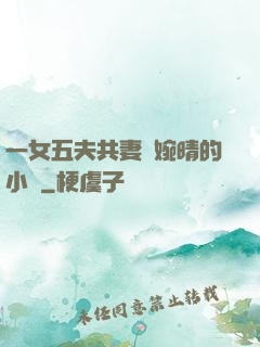 一女五夫共妻蘇婉晴的小說