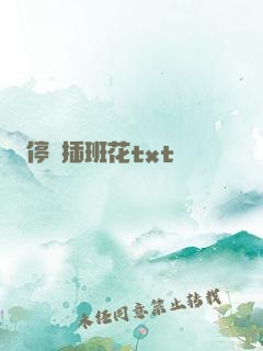 停電插班花txt