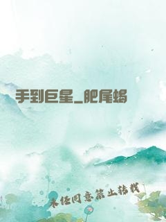從寫手到巨星