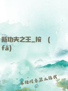 新功夫之王