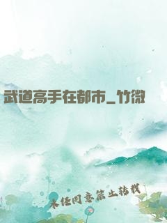武道高手在都市