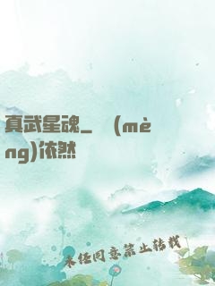 真武星魂