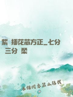 紫龍插花芯方正