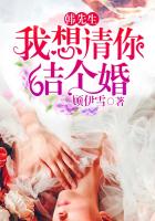 韓先生，我想請(qǐng)你結(jié)個(gè)婚