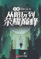 王者：從陪玩到榮耀巔峰